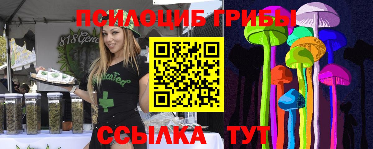 Спасск-Дальний  Псилоцибиновые грибы прущие грибы  Вход с VPN 